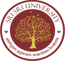Sri Sri University